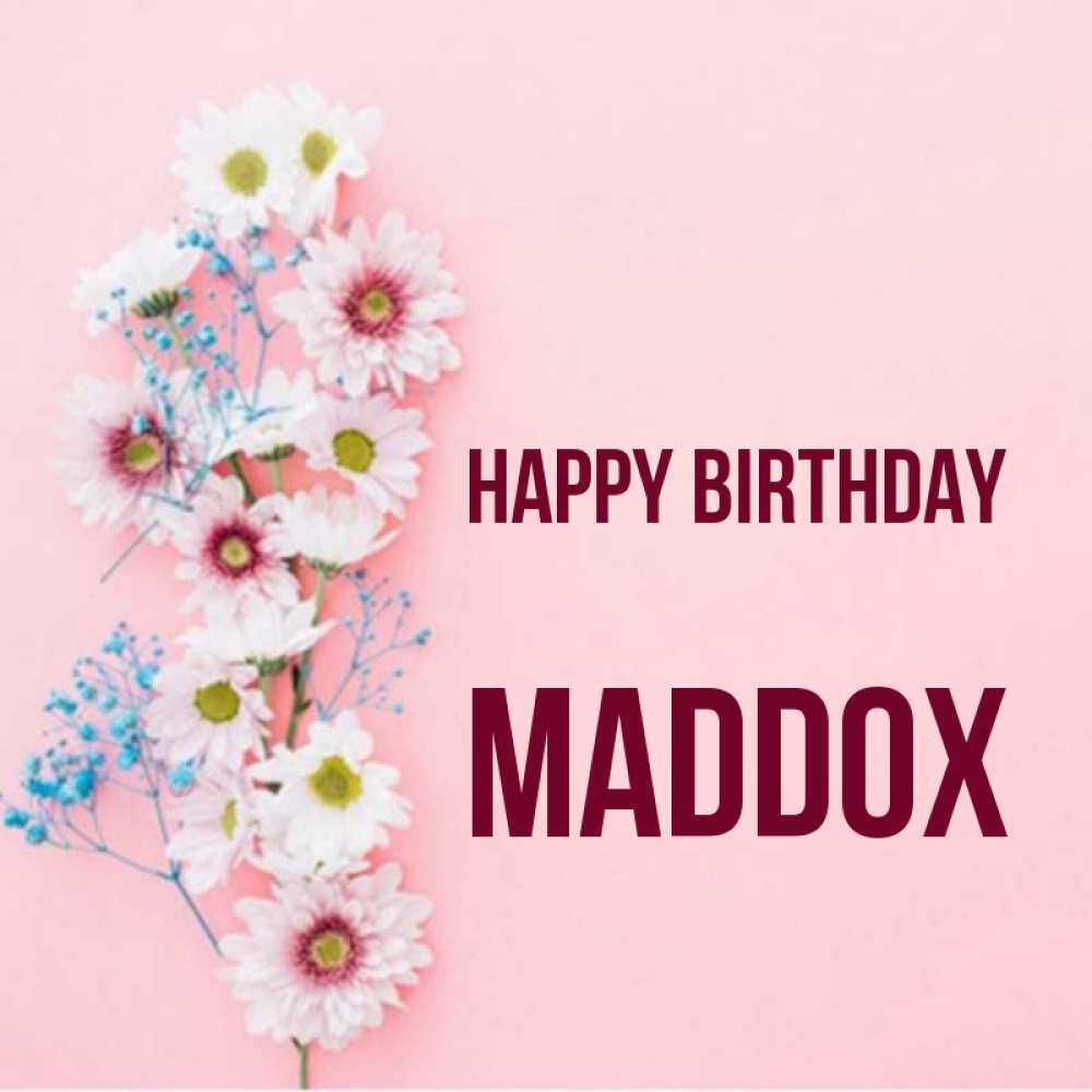 Greetings card с именем, Maddox Happy Birthday Родная моя с днем рождения тебя картинка с цветами белыми и голубыми Greetings with text for free download 