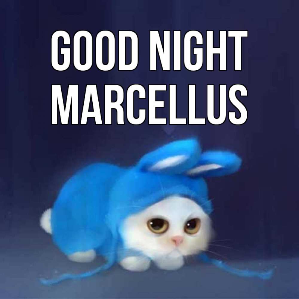 Greetings card с именем, Marcellus Good night кот в голубом костюме кролика с ушками Greetings with text for free download 