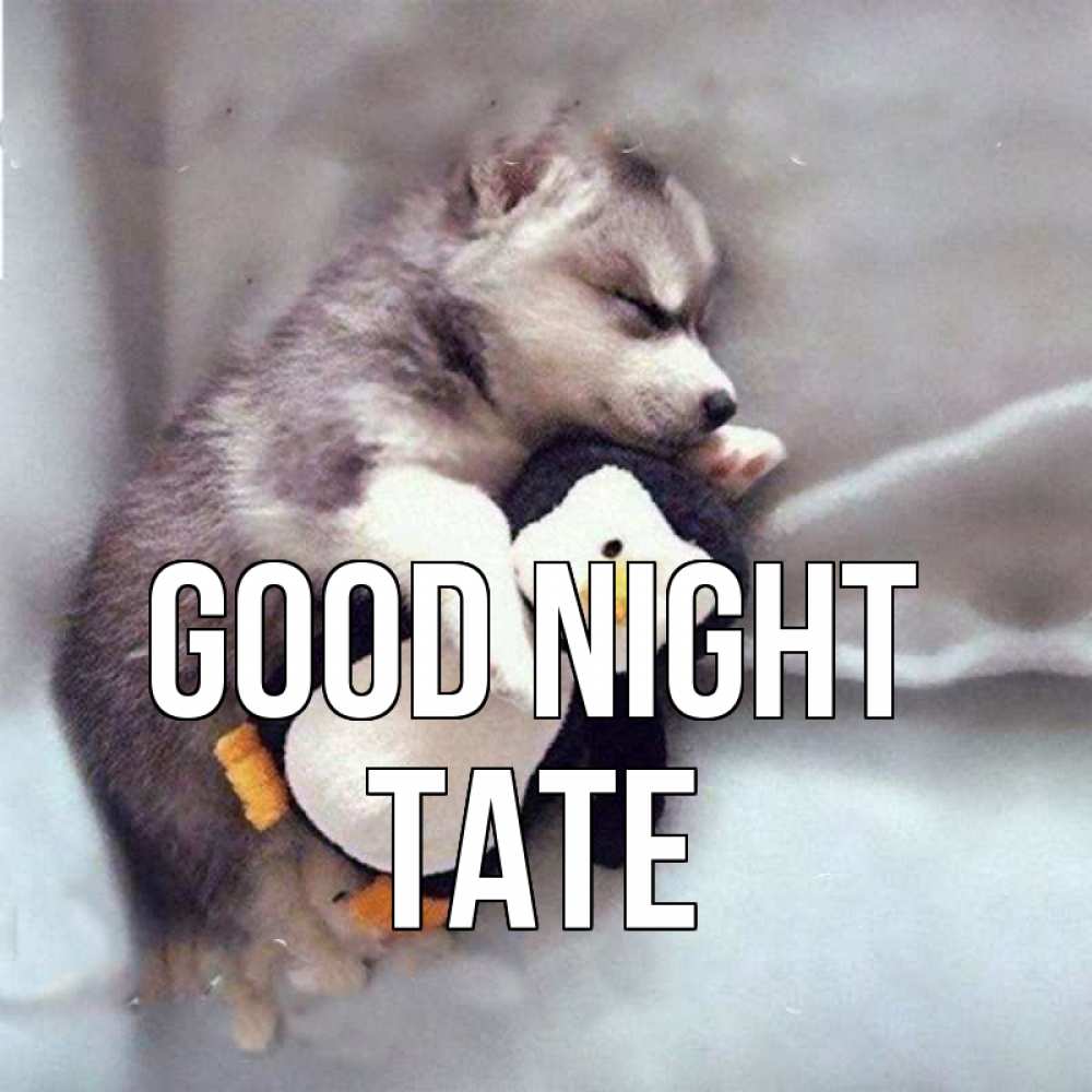 Greetings card с именем, Tate Good night обнимашки щенка и пингвина Greetings with text for free download 