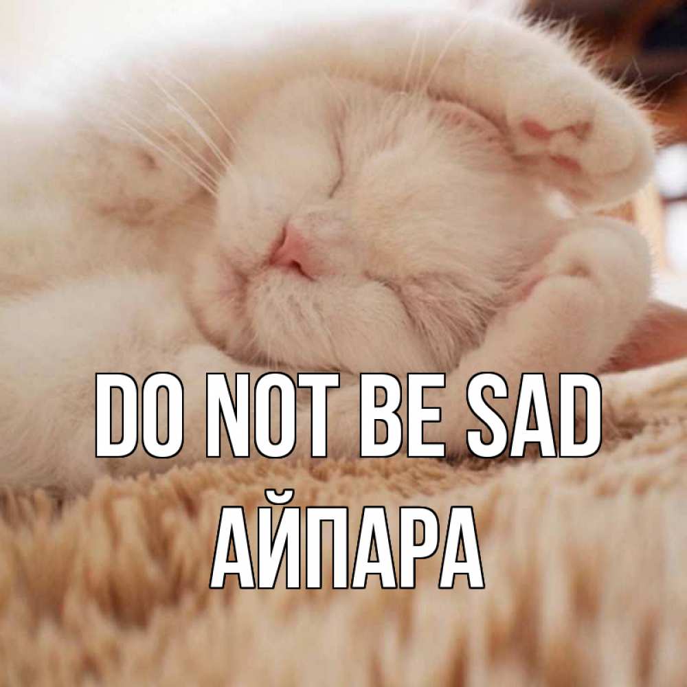 Greetings card с именем, АЙПАРА Do not be sad белый кот Greetings with text for free download 