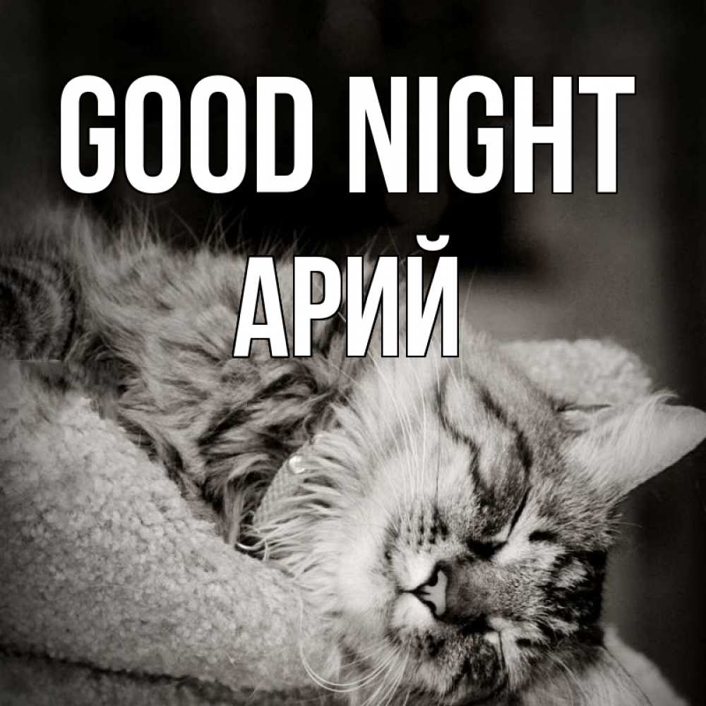 Greetings card с именем, Арий Good night котярик пушистый Greetings with text for free download 