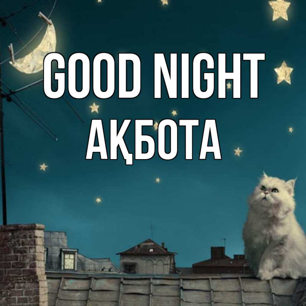 Greetings card с именем, Ақбота Good night белый кот сидит на крыше Greetings with text for free download 