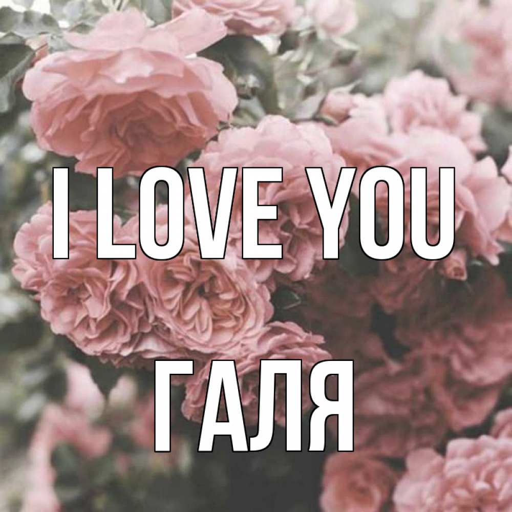 Greetings card с именем, Галя I love you розы 3 Greetings with text for free download 