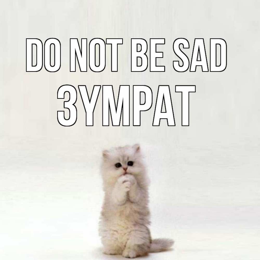 Greetings card с именем, ЗҮМРАТ Do not be sad грустный кот Greetings with text for free download 