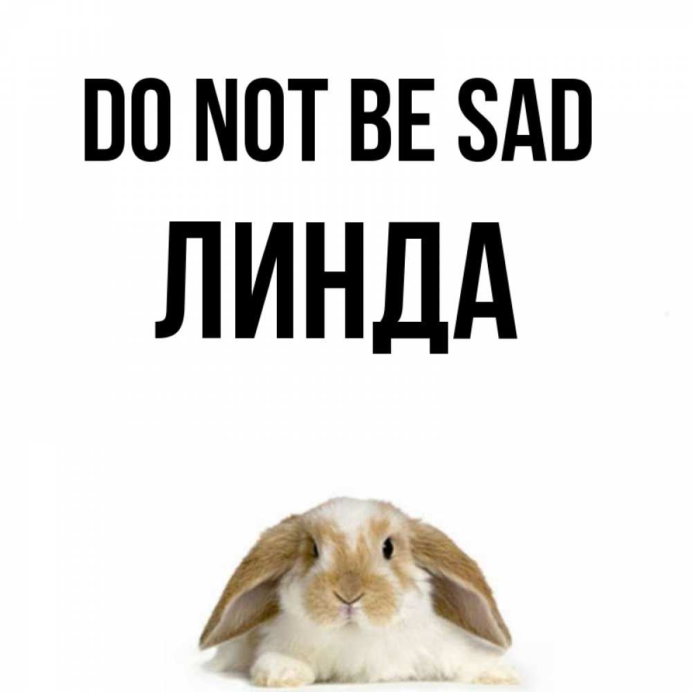 Greetings card с именем, Линда Do not be sad коричнево белый заяц с большими ушками Greetings with text for free download 