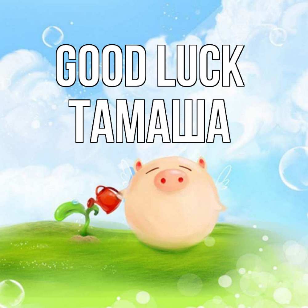 Greetings card с именем, ТАМАША Good luck поросенок поливает цветок. летнее настроение Greetings with text for free download 