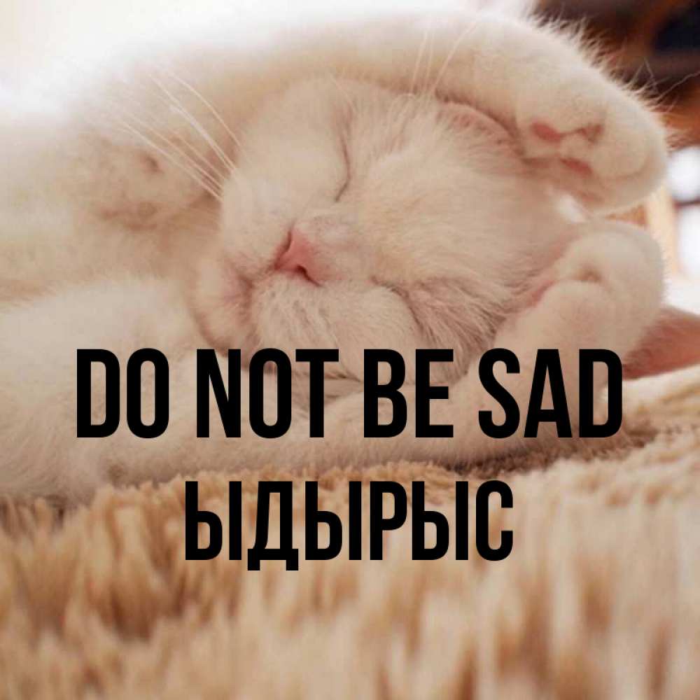 Greetings card с именем, ЫДЫРЫС Do not be sad Котенок спит Greetings with text for free download 