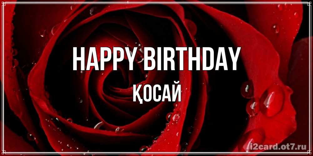 Greetings card с именем, ҚОСАЙ Happy Birthday крупная бордовая роза Greetings with text for free download 