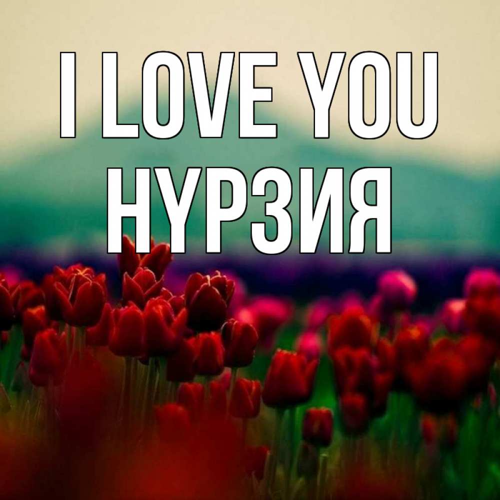 Greetings card с именем, НҮРЗИЯ I love you тюльпаны 4 Greetings with text for free download 