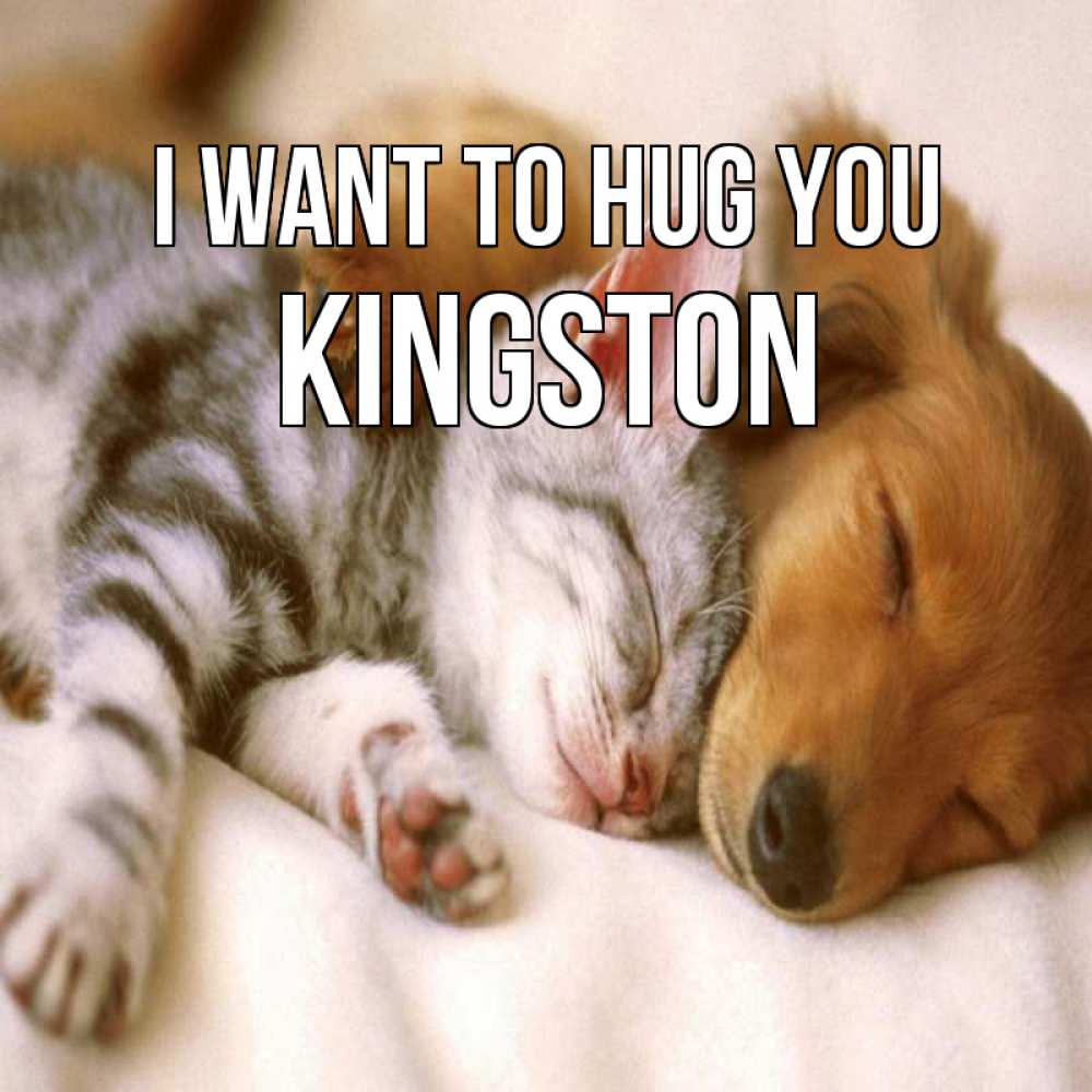 Greetings card с именем, Kingston I want to hug you пес и котенок Greetings with text for free download 