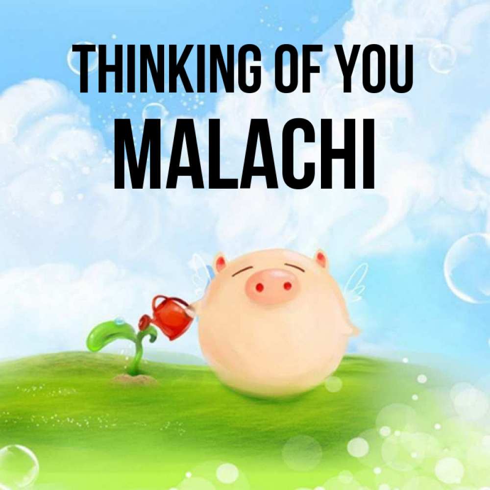 Greetings card с именем, Malachi Thinking of you позитивная свинюшка Greetings with text for free download 