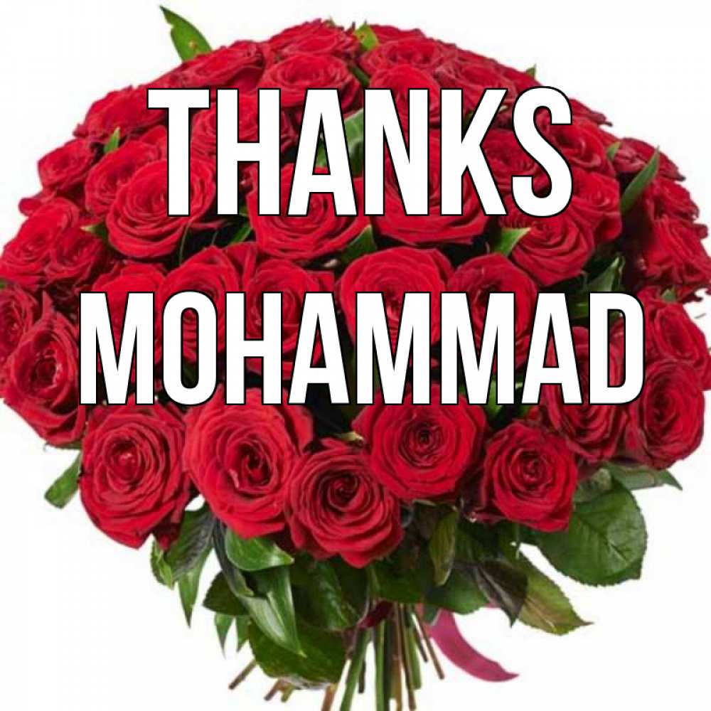 Greetings card с именем, Mohammad Thanks букет красных роз Greetings with text for free download 
