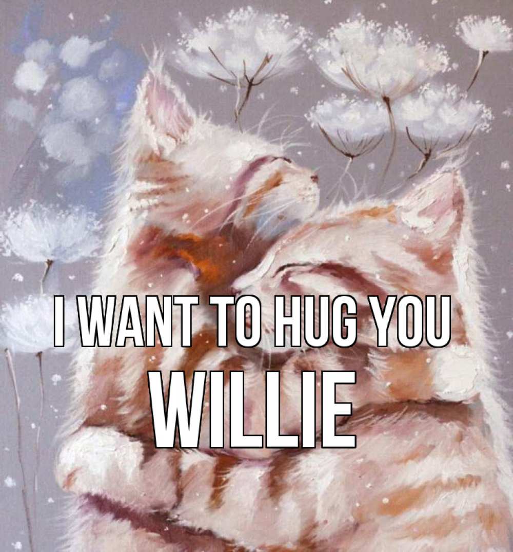 Greetings card с именем, Willie I want to hug you Море и горы Greetings with text for free download 