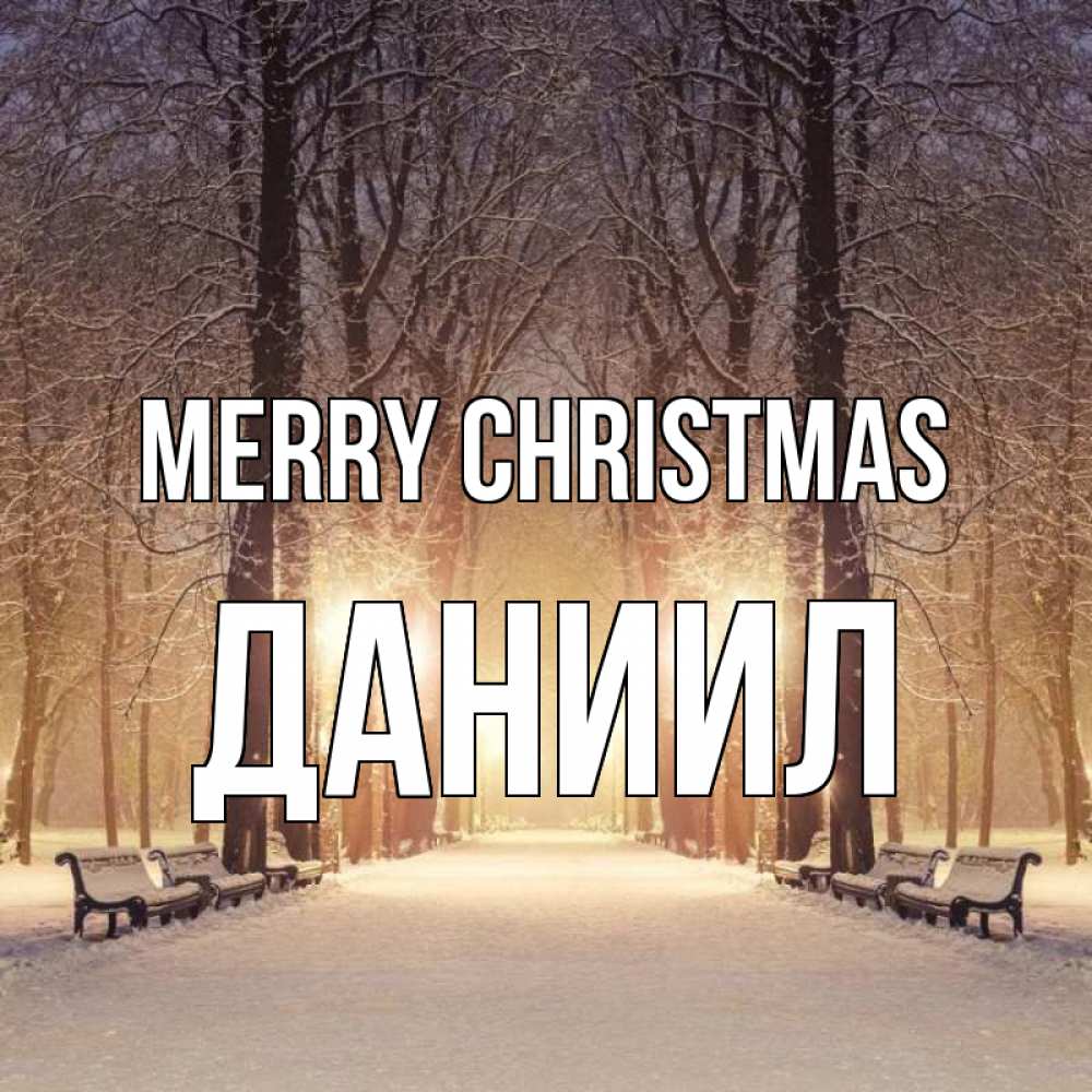 Greetings card с именем, Даниил Merry Christmas зима, парк, фонарь, лес Greetings with text for free download 