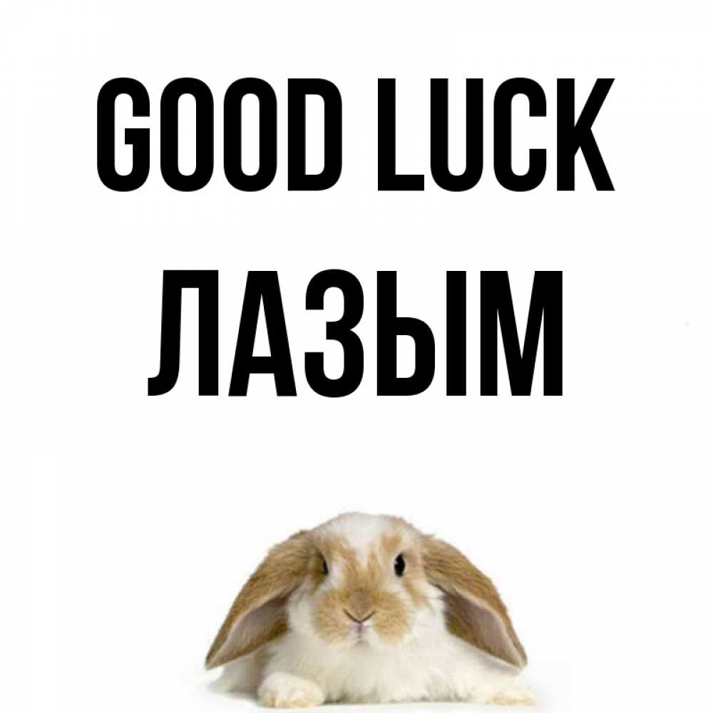 Greetings card с именем, ЛАЗЫМ Good luck открытки с произвольным текстом который можно вставить в открытку и создать ее самостоятельно бесплатно онлайн Greetings with text for free download 