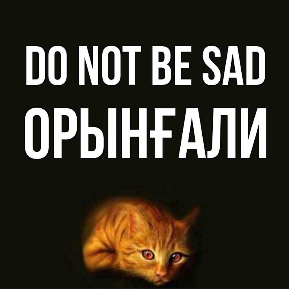 Greetings card с именем, ОРЫНҒАЛИ Do not be sad лежащий кот в темноте Greetings with text for free download 