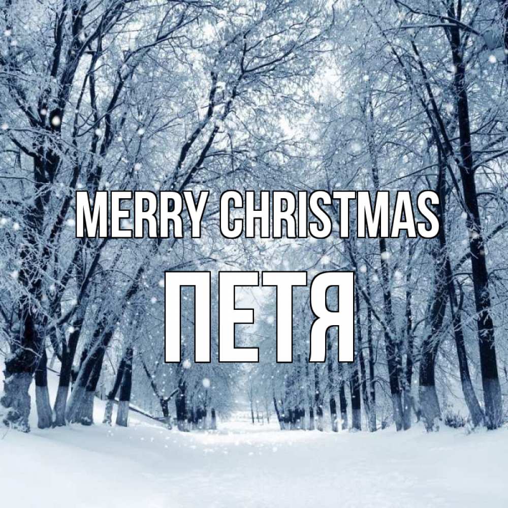 Greetings card с именем, Петя Merry Christmas снег, лес, парк Greetings with text for free download 