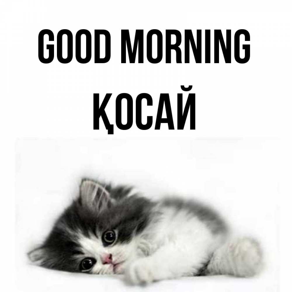 Greetings card с именем, ҚОСАЙ Good morning кот лапки Greetings with text for free download 