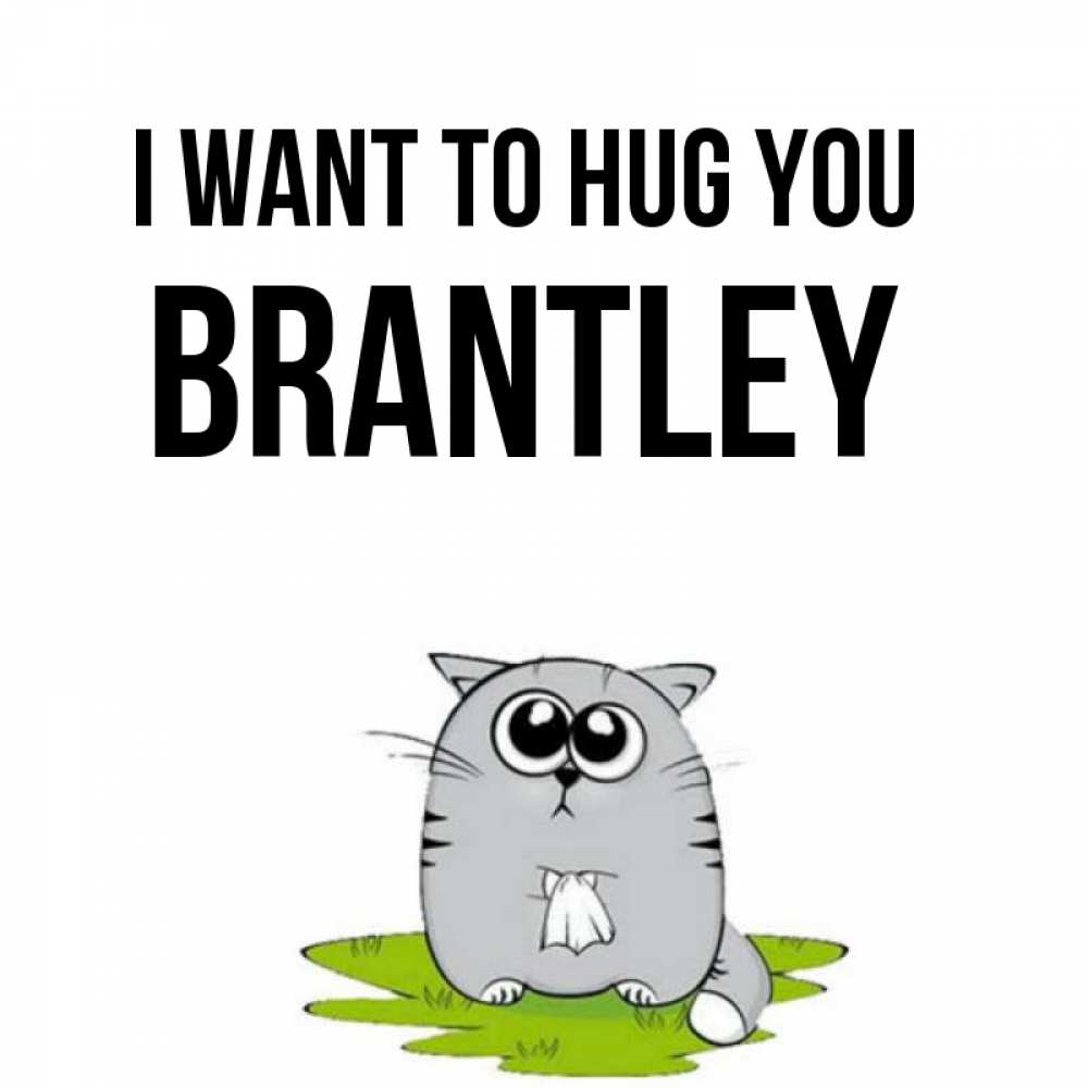 Greetings card с именем, Brantley I want to hug you котик теребит платочек сидя на травке Greetings with text for free download 