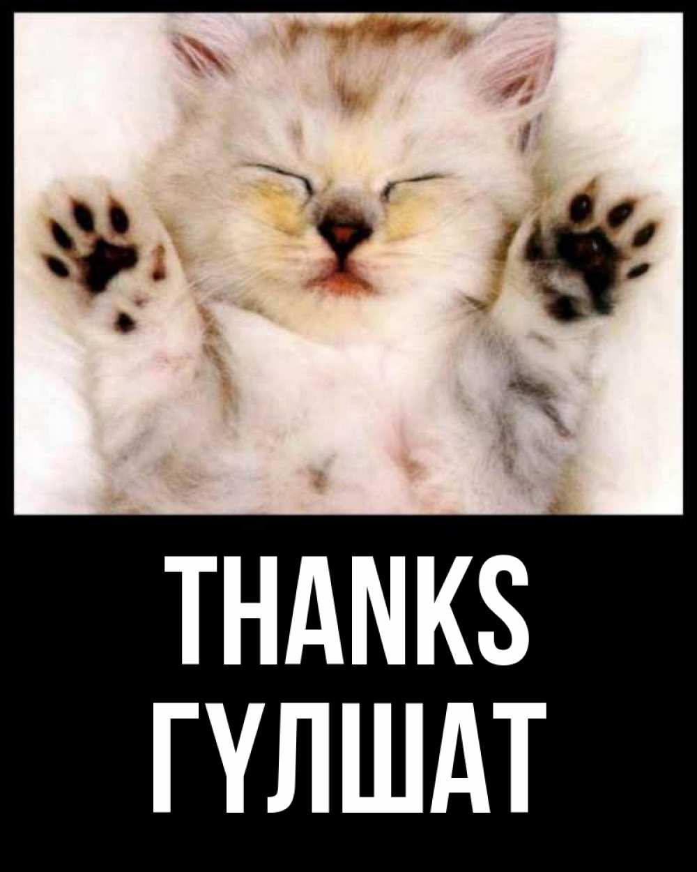 Greetings card с именем, ГҮЛШАТ Thanks маленький котенок Greetings with text for free download 