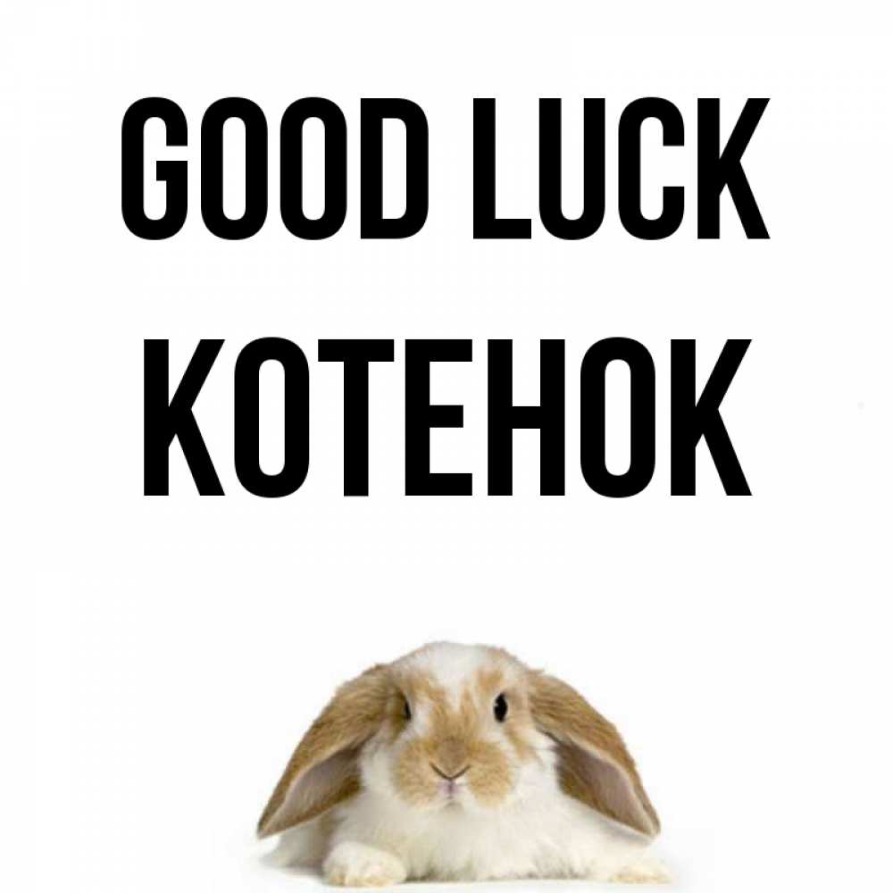 Greetings card с именем, Котенок Good luck открытки с произвольным текстом который можно вставить в открытку и создать ее самостоятельно бесплатно онлайн Greetings with text for free download 