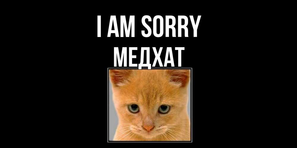 Greetings card с именем, МЕДХАТ I am sorry рыжий грустный кот просит прощения Greetings with text for free download 