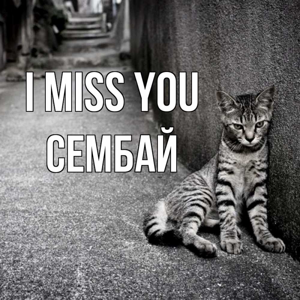 Greetings card с именем, СЕМБАЙ I miss you одиноко котику Greetings with text for free download 
