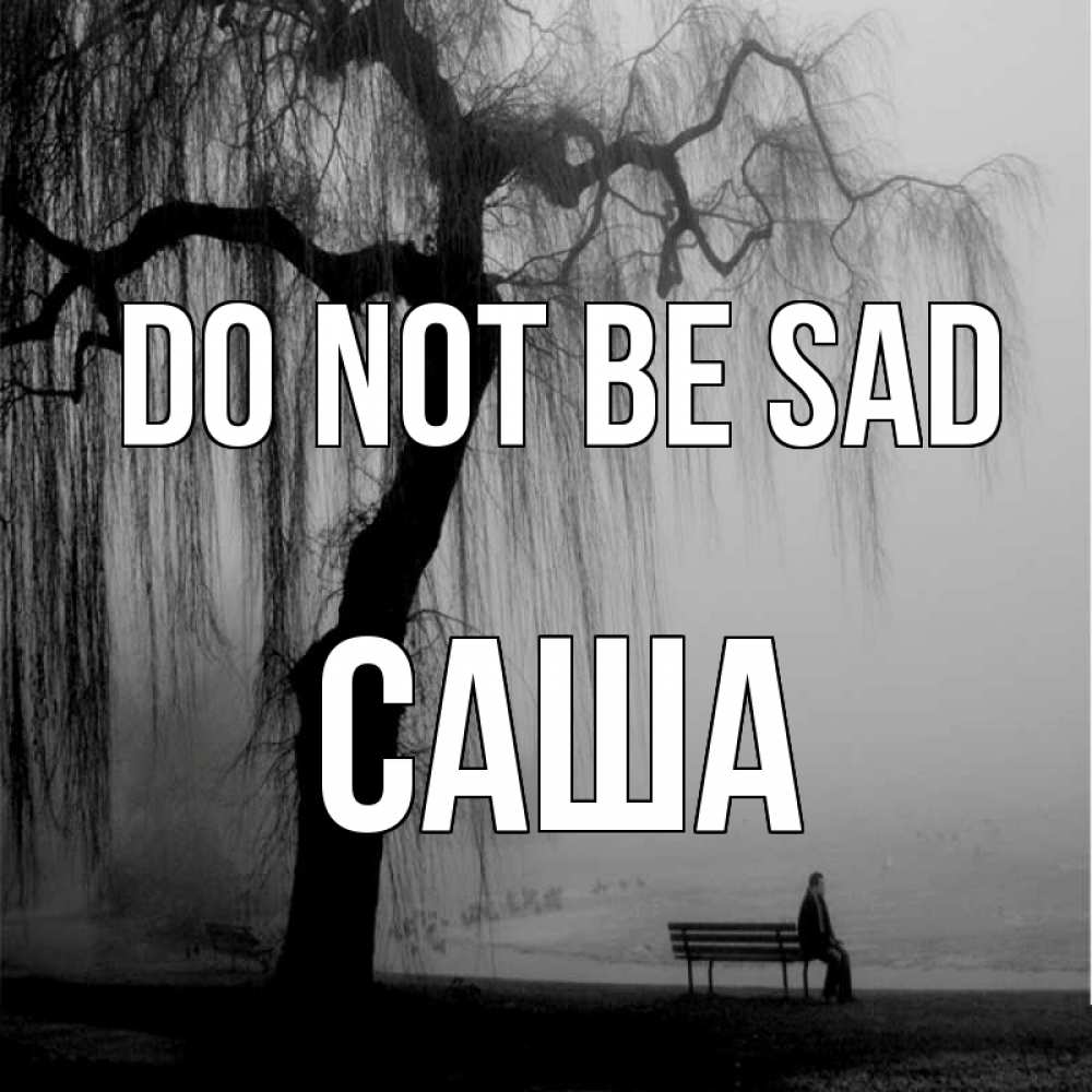 Greetings card с именем, Саша Do not be sad висящие ветки дерева и лавочка под деревом Greetings with text for free download 