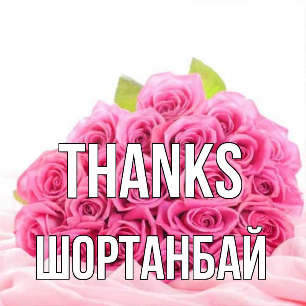 Greetings card с именем, ШОРТАНБАЙ Thanks розовые розы с подписью Greetings with text for free download 