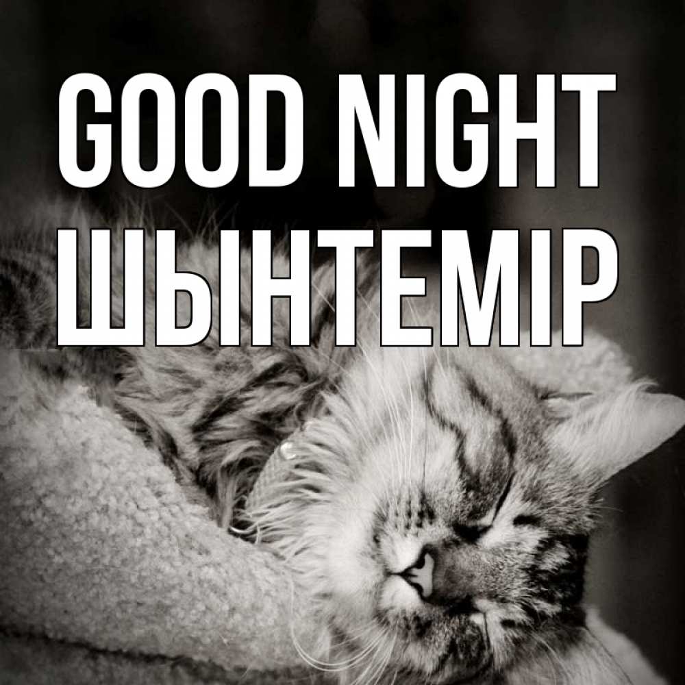 Greetings card с именем, ШЫНТЕМІР Good night котярик пушистый Greetings with text for free download 