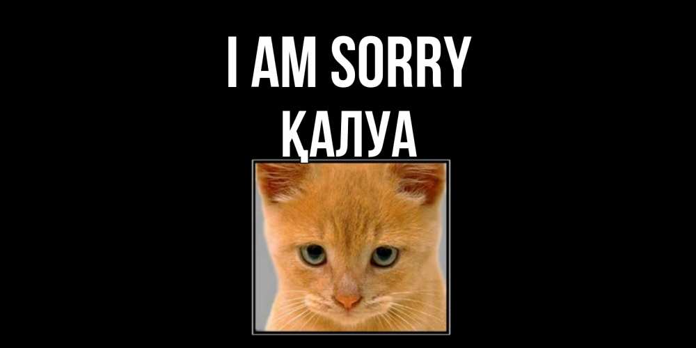 Greetings card с именем, ҚАЛУА I am sorry рыжий грустный кот просит прощения Greetings with text for free download 