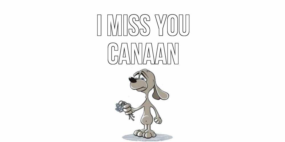 Greetings card с именем, Canaan I miss you я по тебе скучаю с песиком Greetings with text for free download 