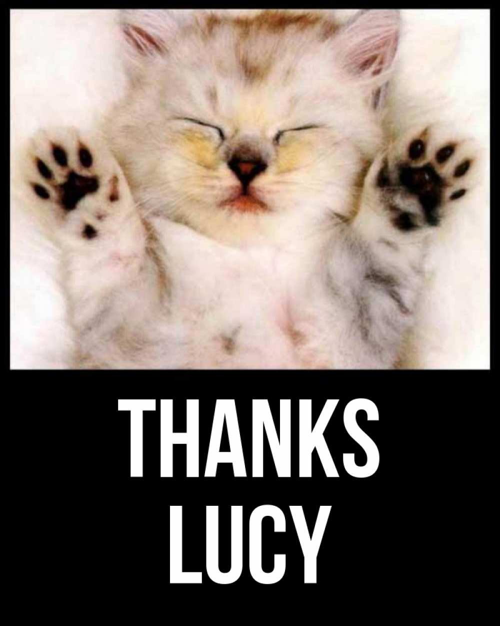 Greetings card с именем, Lucy Thanks маленький котенок Greetings with text for free download 