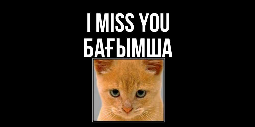 Greetings card с именем, БАҒЫМША I miss you открытки рыжий котенок скучает по тебе Greetings with text for free download 