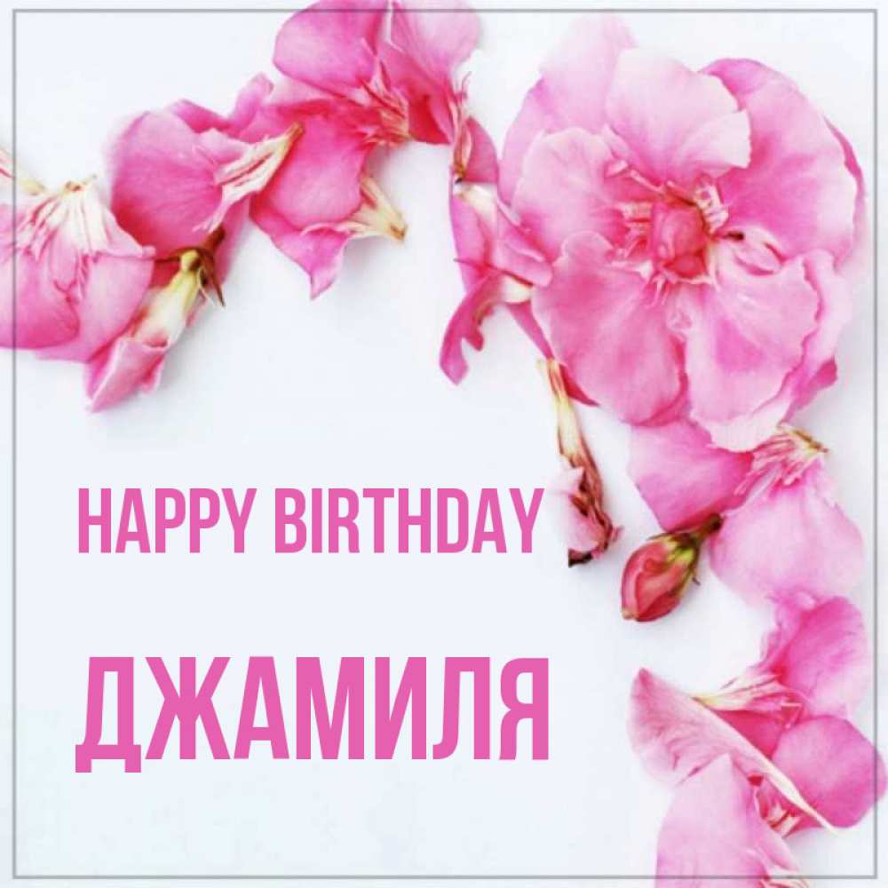 Greetings card с именем, Джамиля Happy Birthday Красивая открытка для поздравления с днем рождения Greetings with text for free download 
