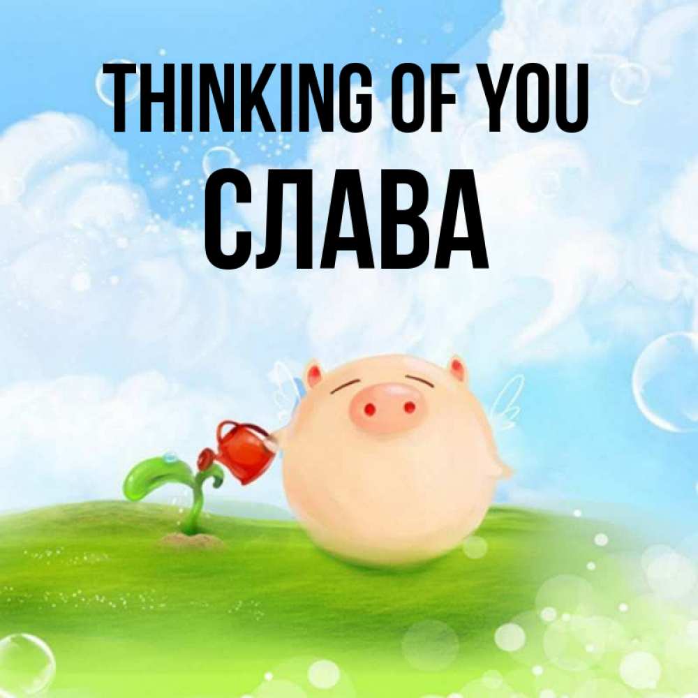Greetings card с именем, Слава Thinking of you позитивная свинюшка Greetings with text for free download 