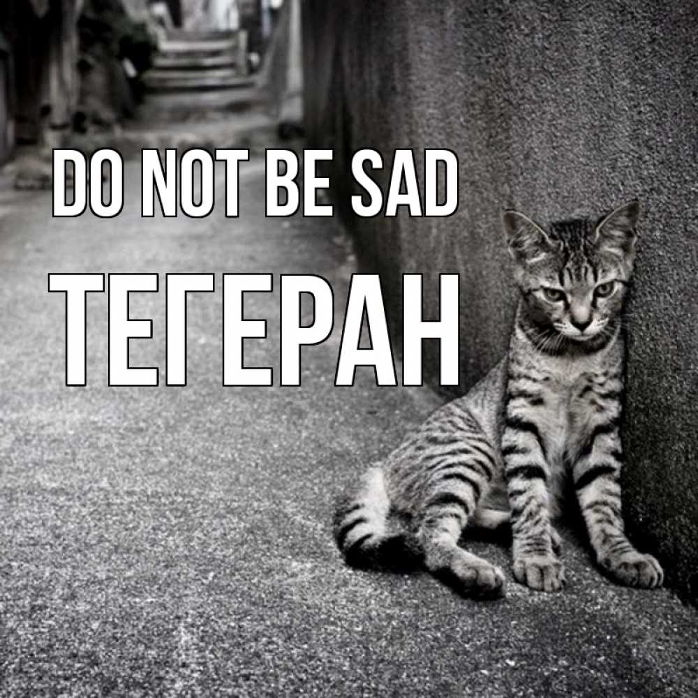 Greetings card с именем, ТЕГЕРАН Do not be sad скучающий котик Greetings with text for free download 