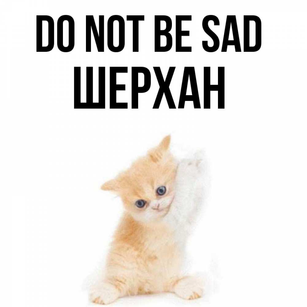 Greetings card с именем, ШЕРХАН Do not be sad просящий кот Greetings with text for free download 