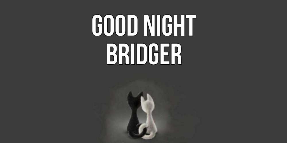 Greetings card с именем, Bridger Good night коты Greetings with text for free download 