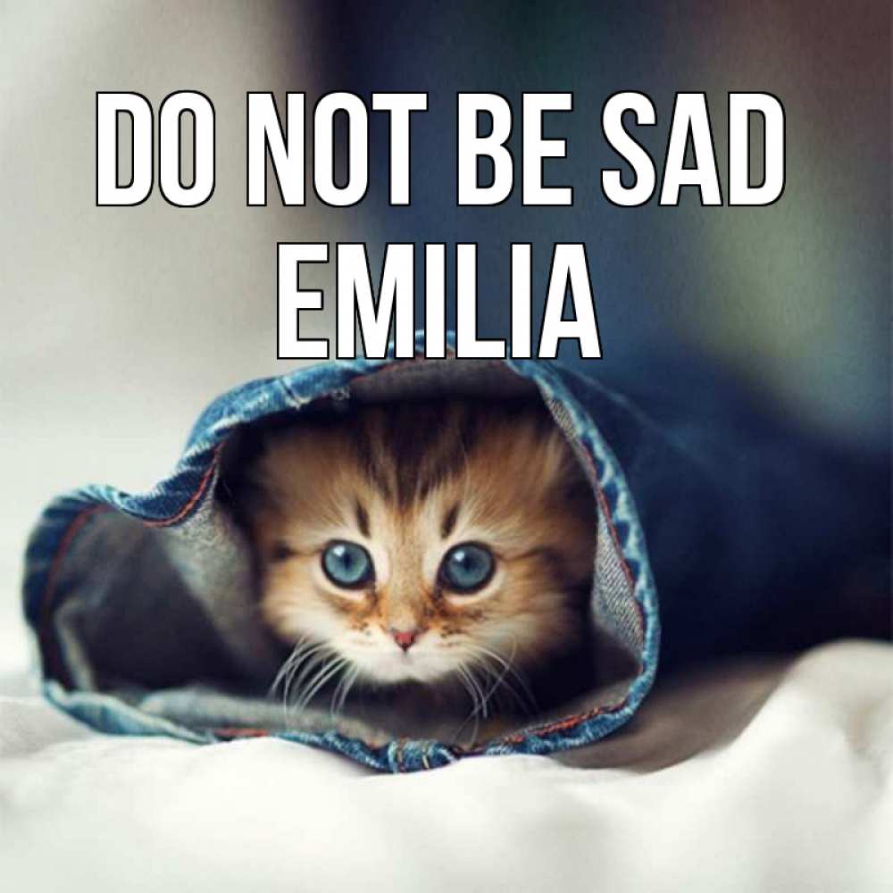 Greetings card с именем, Emilia Do not be sad кот в одежде Greetings with text for free download 