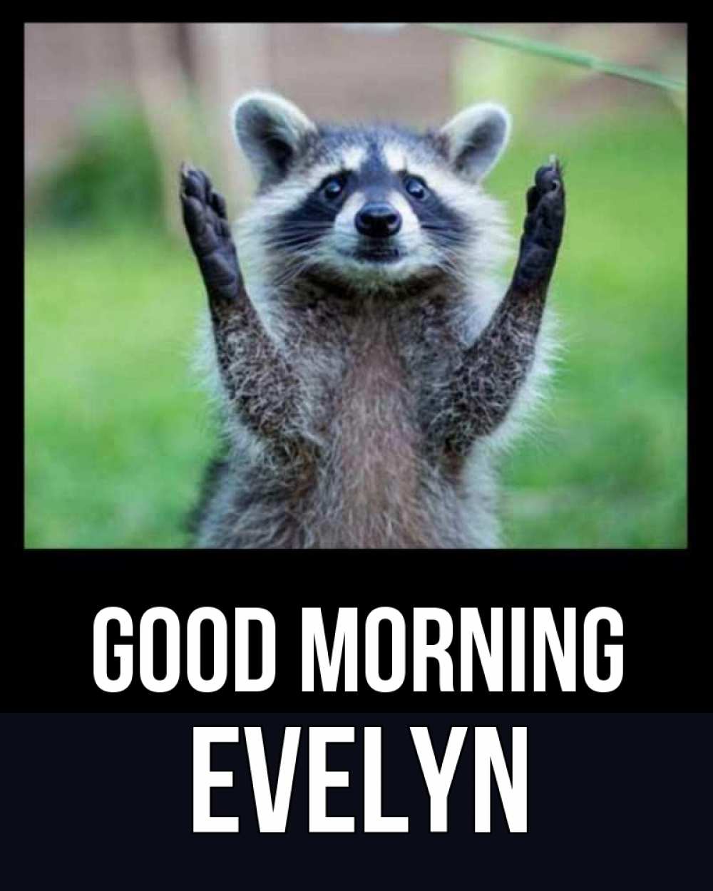 Greetings card с именем, Evelyn Good morning хорошее настроение утречком Greetings with text for free download 