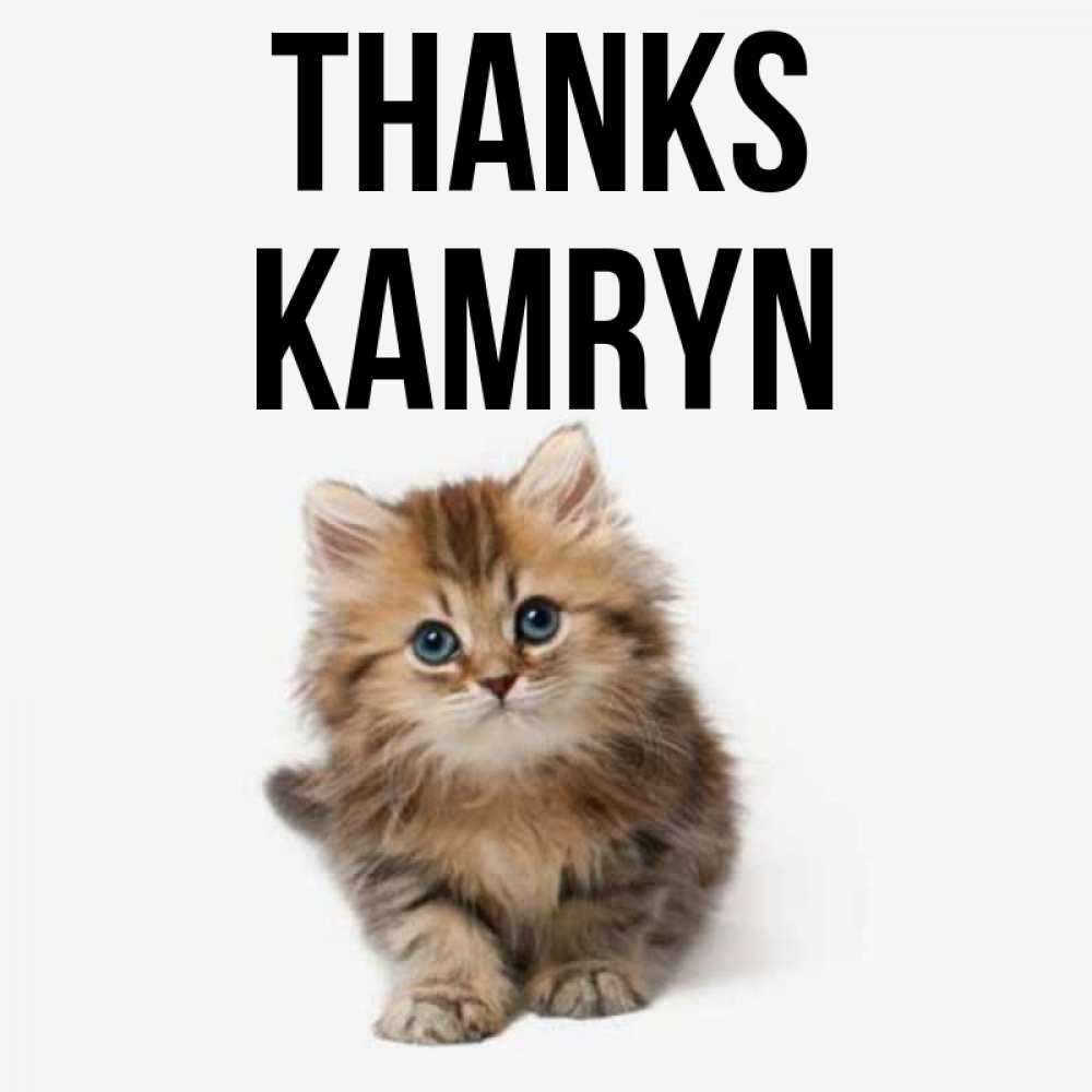 Greetings card с именем, Kamryn Thanks пушистый котик Greetings with text for free download 