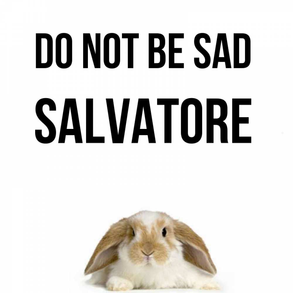 Greetings card с именем, Salvatore Do not be sad коричнево белый заяц с большими ушками Greetings with text for free download 