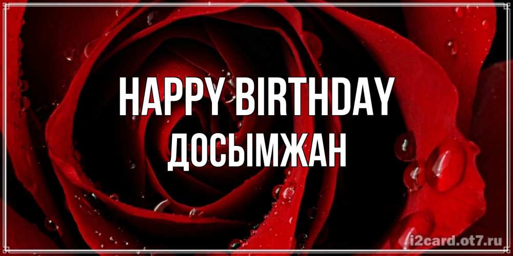 Greetings card с именем, Досымжан Happy Birthday крупная бордовая роза Greetings with text for free download 