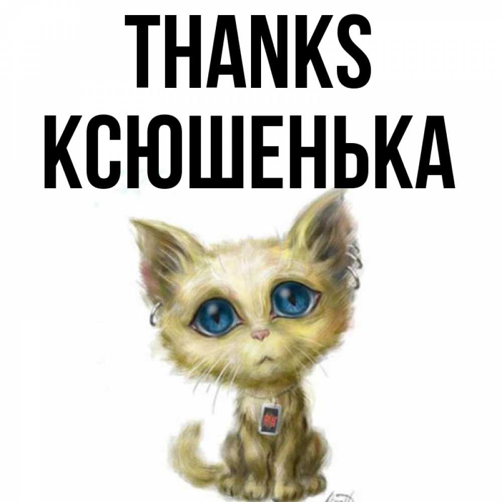 Greetings card с именем, Ксюшенька Thanks рисованный кот благодарит вас Greetings with text for free download 
