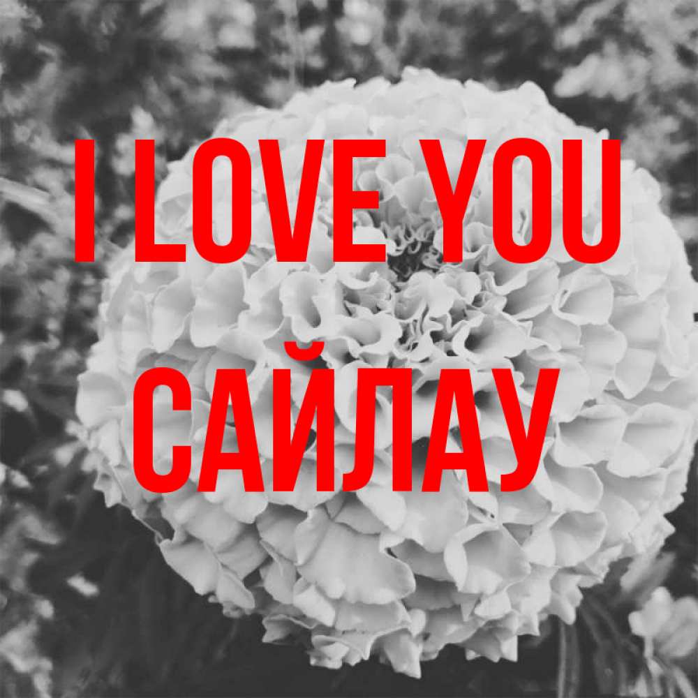 Greetings card с именем, САЙЛАУ I love you подпись Greetings with text for free download 