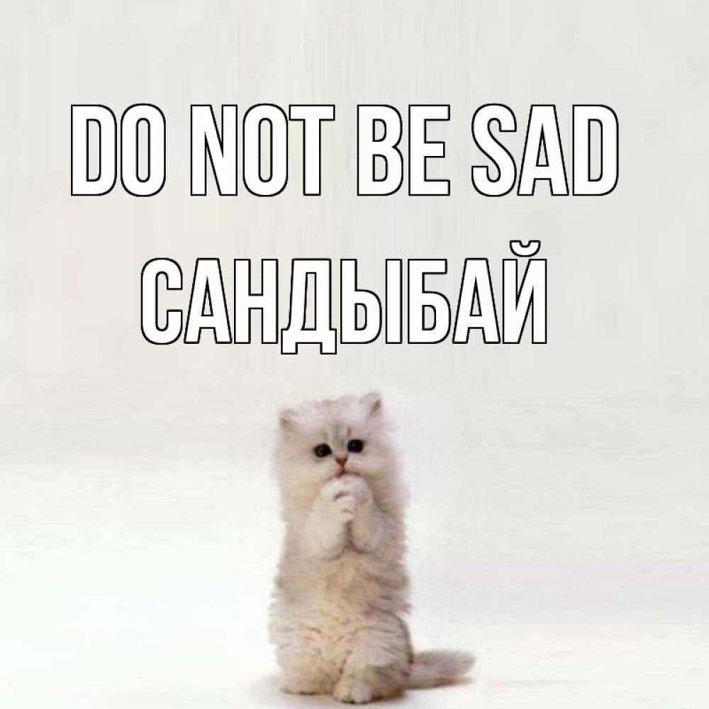 Greetings card с именем, САНДЫБАЙ Do not be sad грустный кот Greetings with text for free download 