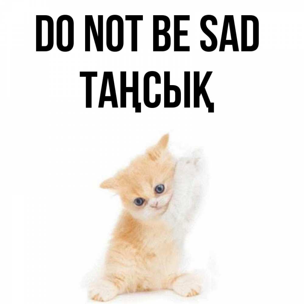 Greetings card с именем, ТАҢСЫҚ Do not be sad просящий кот Greetings with text for free download 