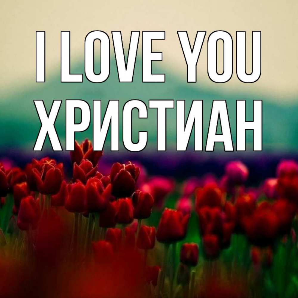 Greetings card с именем, Христиан I love you тюльпаны 4 Greetings with text for free download 