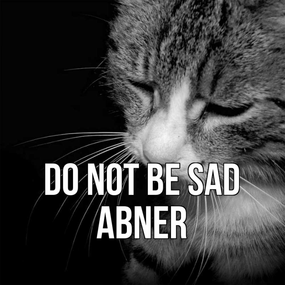 Greetings card с именем, Abner Do not be sad грустный котик Greetings with text for free download 